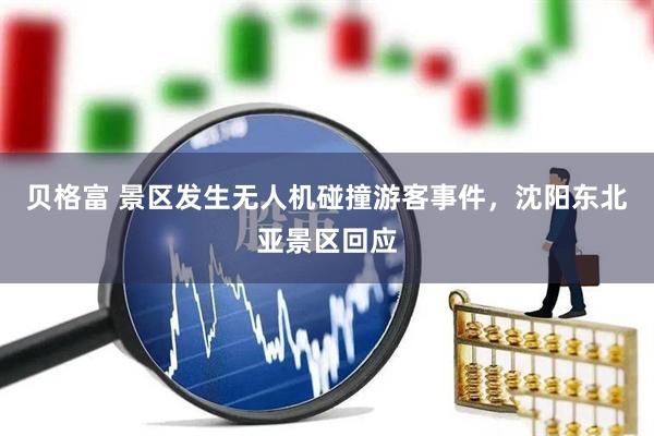 贝格富 景区发生无人机碰撞游客事件，沈阳东北亚景区回应