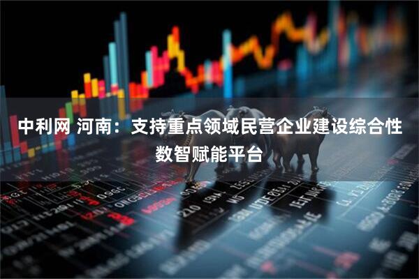中利网 河南：支持重点领域民营企业建设综合性数智赋能平台